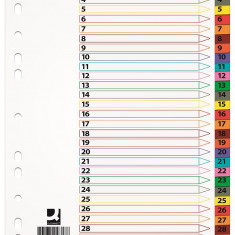 Index Carton Alb Mylar Numeric 1-31, Margine Pp Color, A4, 170g/mp, Q-connect