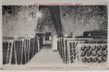 SAMPANIE POMMERY sii GRENO , PIVNITELE POMMERY LA REIMS , PROCEDURA &#039;&#039; REMOUAGE &#039;&#039; A STICLELOR , CARTE POSTALA , INCEPUTUL SEC. XX
