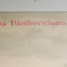 CARTE POSTALA - SOSEAUA DAMBOVICIOARA NECIRCULATA , ANII 1900