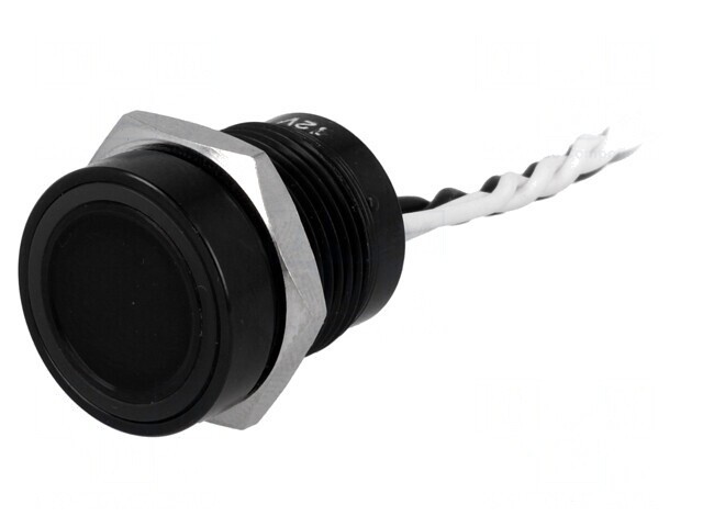 Comutator Piezoelectric PS165P10YBK1W12V 24V 0.2A