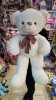 Urs alb de plus clasic 80cm