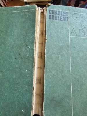 GEOMETRIA SECRETA A PICTORILOR - CHARLES BOULEAU foto
