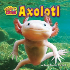 Axolotl foto