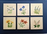 6 placi ceramice vechi anii 1930 - 1940 5 sunt MEISSEN motive florale , botanice