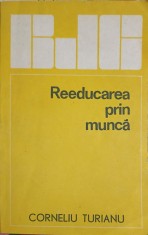 REEDUCAREA PRIN MUNCA-CORNELIU TURIANU-258085 foto