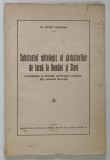 SUBSTRATUL MITOLOGIC AL SARBATORILOR DE IARNA LA ROMANI SI SLAVI - CONTRIBUTIE LA STUDIUL MITOLOGIEI CRESTINE DIN ORIENTUL EUROPEI de PETRU CARAMAN