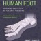 Understanding the Human Foot: An Illustrated Guide to Form and Function for Practitioners