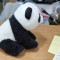 jucarie plus panda