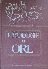 Patologie ORL - 1980 - Stefan Garbea ($J66)