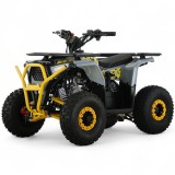 Atv copii 110cc Mini Explorer 6&amp;quot; automat 4T gri