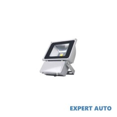 Proiector casa 100w/220v Alta marca Alt model #7
