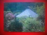 HOPCT 5292 TEMPLUL TOKEIJI KAMAKURA -JAPONIA -ASIA-NECIRCULATA
