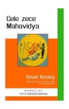 Cele zece Mahavidya - Paperback brosat - David Kinsley - Mix