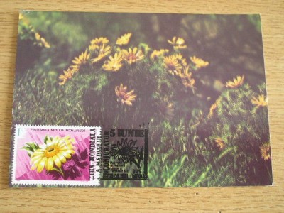 C12 - maxima Romania - tematica flora 2 - prima zi a emisiunii sau expozitii foto
