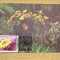 C12 - maxima Romania - tematica flora 2 - prima zi a emisiunii sau expozitii