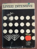 Livezi intensive- A. Negrila, Fl. Lupescu