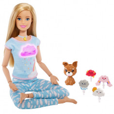 Papusa Barbie 5 Exercitii De Meditatie foto