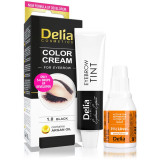 Cumpara ieftin Delia Cosmetics Argan Oil culoare pentru sprancene culoare 1.0 Black 15 ml