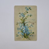 Carte Postala tematica florala litografie, circulata Timisoara - Temesvar 1906 / Timis / Banat / Romania