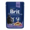 Plicule? BRIT Premium Cat Cod Fish 100 g