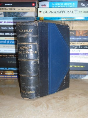 C.A. PELLAT - MANUALE JURIS SYNOPTICUM * JUSTINIANI INSTITUTIONES , 1887 foto