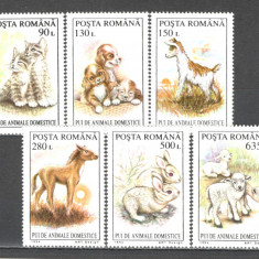 Romania.1994 Pui de animale domestice ZR.932