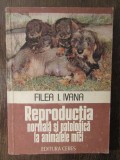 REPRODUCTIA NORMALA SI PATOLOGICA LA ANIMALELE MICI-FILEA IVANA