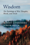 Wisdom | Robert J. Sternberg, Judith Gluck, Cambridge University Press