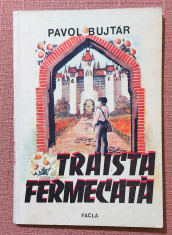 Traista fermecata. Ilustrata de C-tin Catargiu. Ed. Facla, 1985 - Pavol Bujtar foto