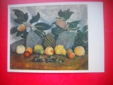 HOPCT 23510 MAGNOLII SI FRUCTE- MASHKOV II 1881-1944 --MUZEE RUSIA - CP PICTURA --NECIRCULATA