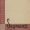 xxx - Segmenti pentru pistoane