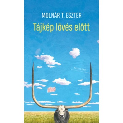 T&amp;aacute;jk&amp;eacute;p l&amp;ouml;v&amp;eacute;s előtt - Moln&amp;aacute;r T. Eszter foto