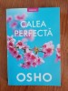 Osho, Calea perfectă