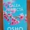 Osho, Calea perfectă