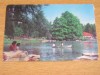 QW24 C - Carte postala - tematica turism - vedere - Craiova 15, Circulata, Fotografie