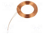 Antenă RFID 125kHz SR PASSIVES &Oslash;22mm &Oslash;14mm H2mm 491uH