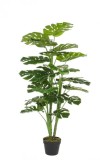 Cumpara ieftin Floare artificiala in ghiveci Philodendron 60 cm x 120h