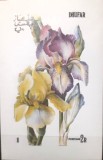 Cumpara ieftin Dhufar plante, flori, flora , bloc nedant. Mnh