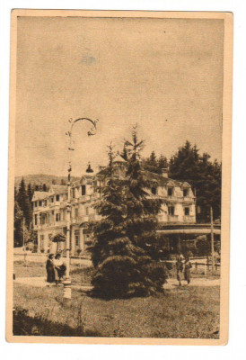 CPIB 18050 CARTE POSTALA - SOVATA, VEDERE, RPR, LIBRARIA NOASTRA foto