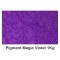 Pigment Metalic Magic Violet 1Kg.