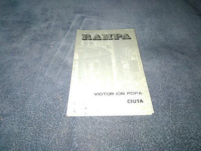 VICTOR ION POPA - CIUTA foto