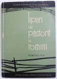 TIPURI DE PASTORIT LA ROMANI ( SEC XIX. - INCEPUTUL SEC .XX ) de ROMULUS VUIA , 1964