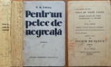 N. D. Cocea, Pentr-un petec de negreata, 1934, editia 1, exemplar numerotat G
