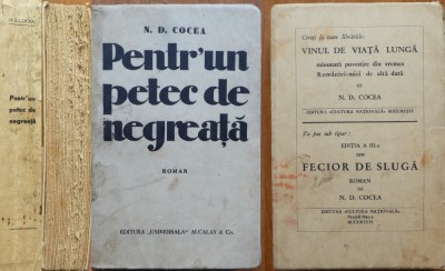 N. D. Cocea, Pentr-un petec de negreata, 1934, editia 1, exemplar numerotat G foto