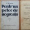 N. D. Cocea, Pentr-un petec de negreata, 1934, editia 1, exemplar numerotat G