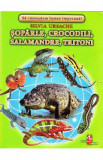 Soparle, crocodili, salamandre, tritoni - Cartonase - Silvia Ursache