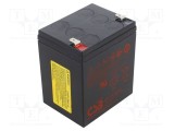 Acumul: plumb-acid 12V AGM nu necesită &icirc;ntreţinere 21W