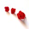 set fimo cu trandafiri rosii 43640