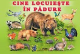 Cumpara ieftin Cine locuieste in padure | Titus Stirbu