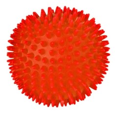 Jucarie caine- minge cu tepi - 10 cm foto